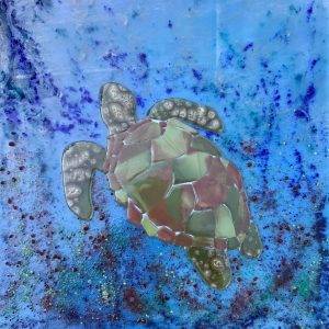 Monsieur tortue